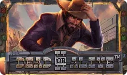 Dead or Alive 2 (NetEnt) on Slots Charm