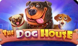 The Dog House (Pragmatic Play) on Slots Charm